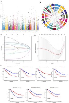 Identification of prognostic RNA editing profiles for clear cell renal carcinoma
